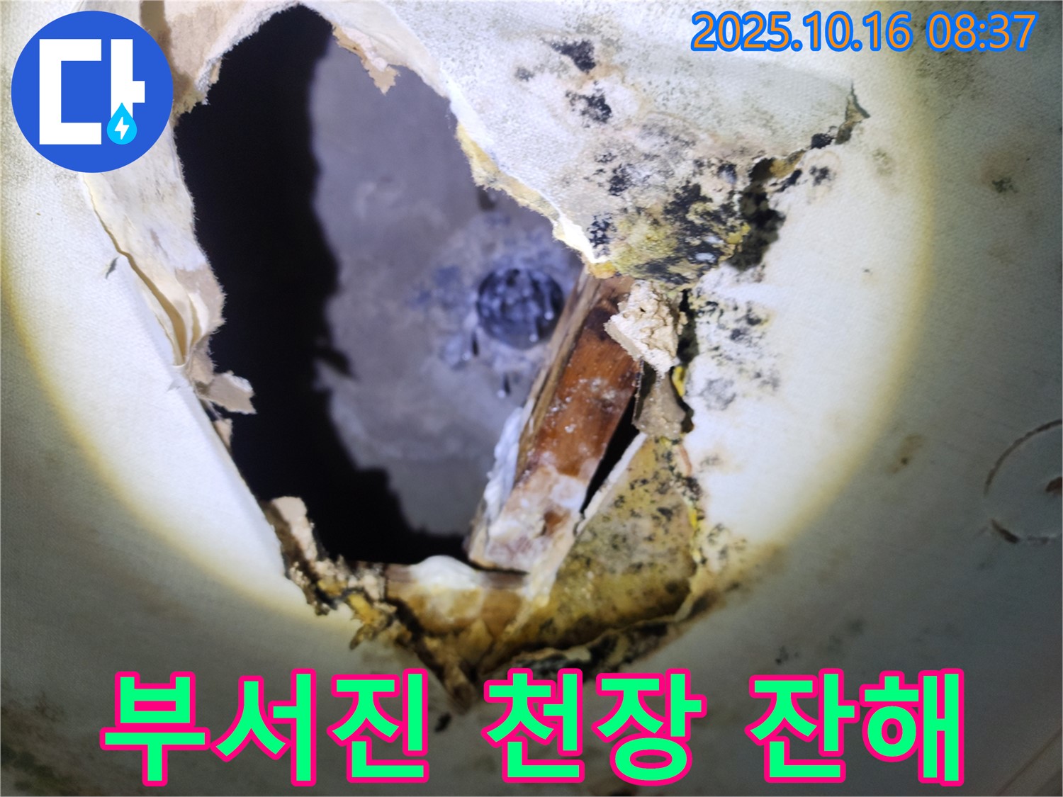 양주시 남면 경신리 주택 천장 - 곰팡이와 함께 부서진 천장 잔해 - 누수 문제의 심각성을 보여줍니다.