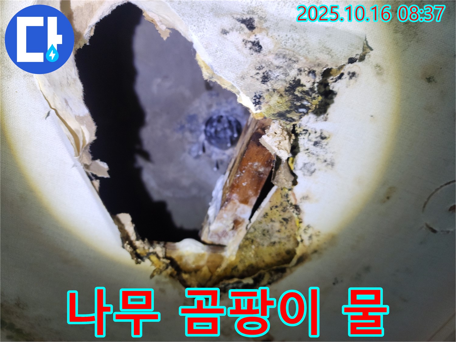 양주시 남면 경신리 주택 천장 - 나무 곰팡이와 함께 물이 떨어지는 모습 - 누수 상태가 심각합니다.