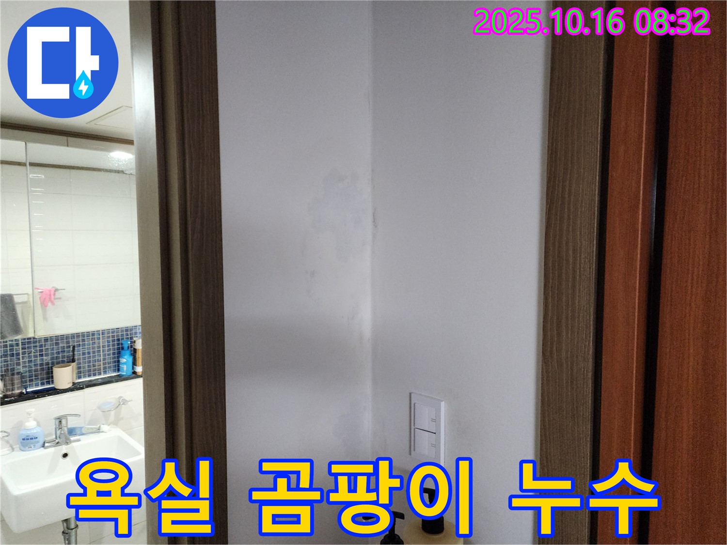 양주시 남면 욕실 곰팡이 - 누수 해결 우선 - 경신리 누수 전문가