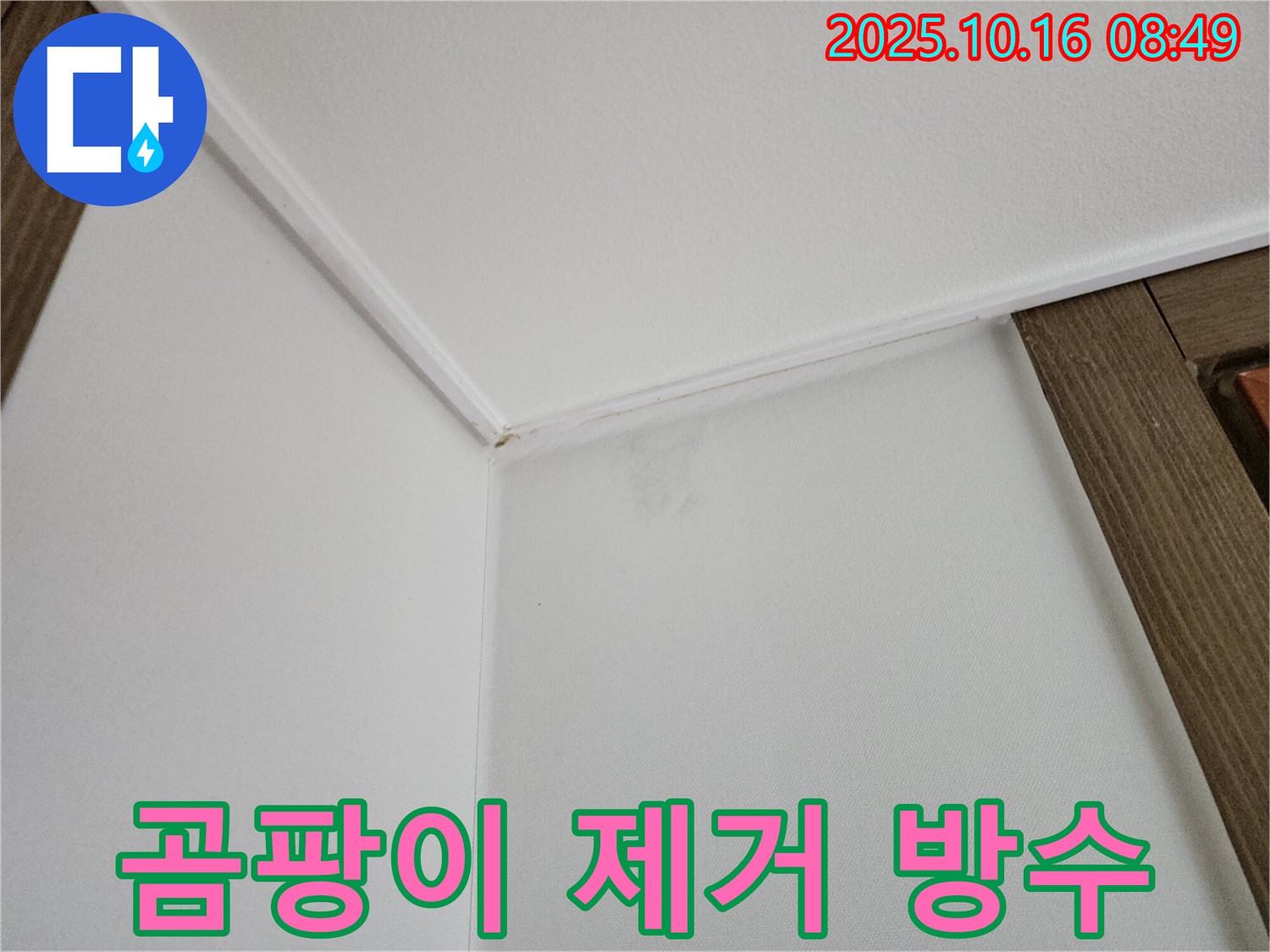 양주시 벽 곰팡이 - 곰팡이 제거와 완벽 방수 시공으로 깨끗하게 해결합니다.