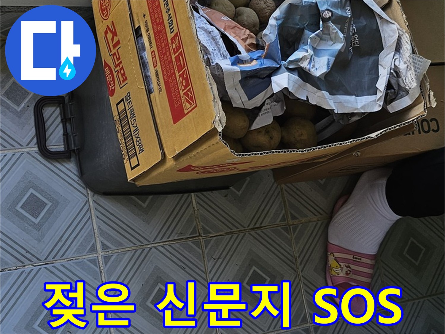 신월1동 엘리시안 누수 현장 - 젖은 신문지와 감자 박스는 긴급 SOS 상황일 수 있습니다 - 즉시 전문가에게 문의하세요.