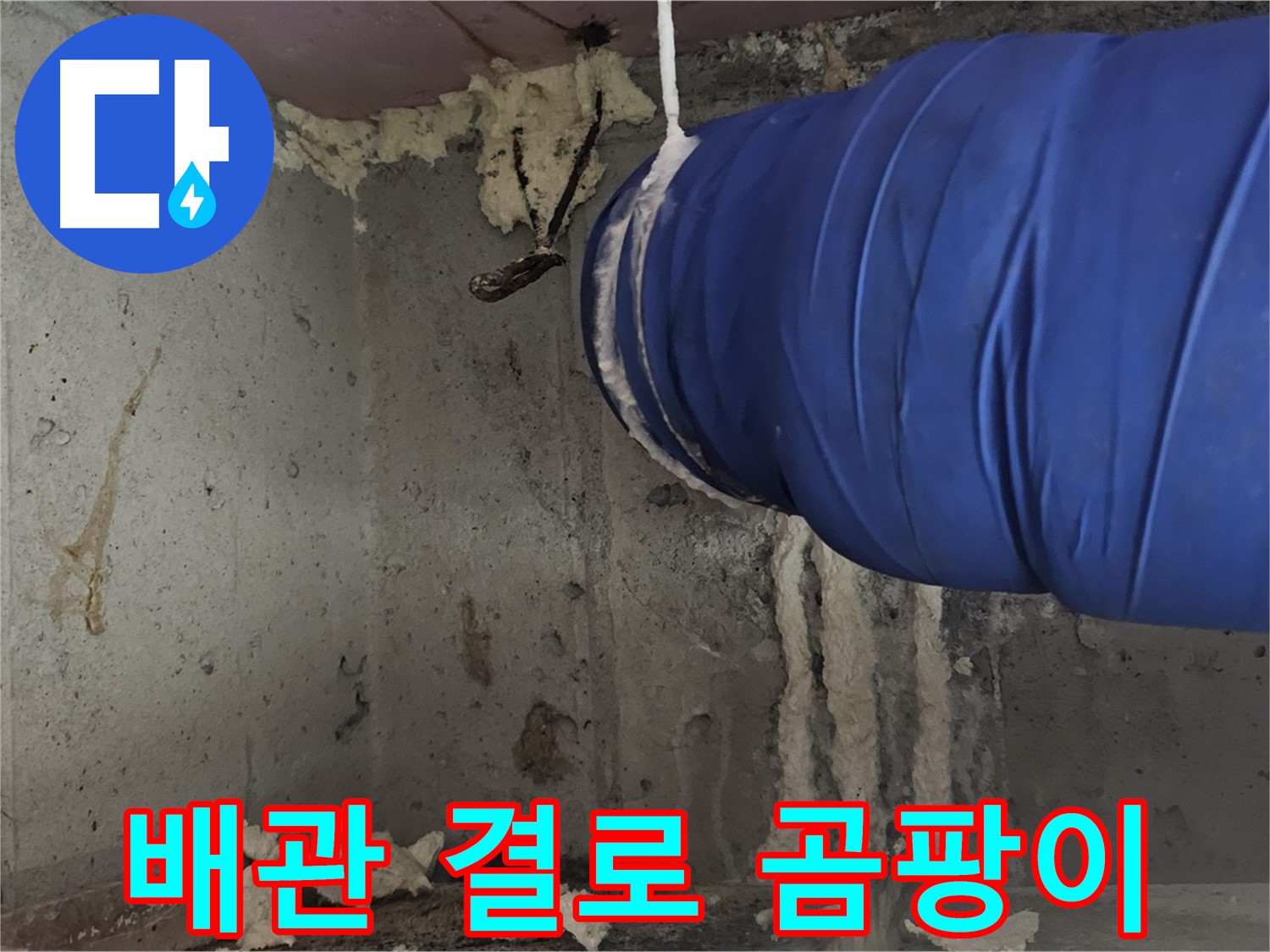 신월동 누수 - 배관 폼 충진으로 결로, 곰팡이 동시 해결