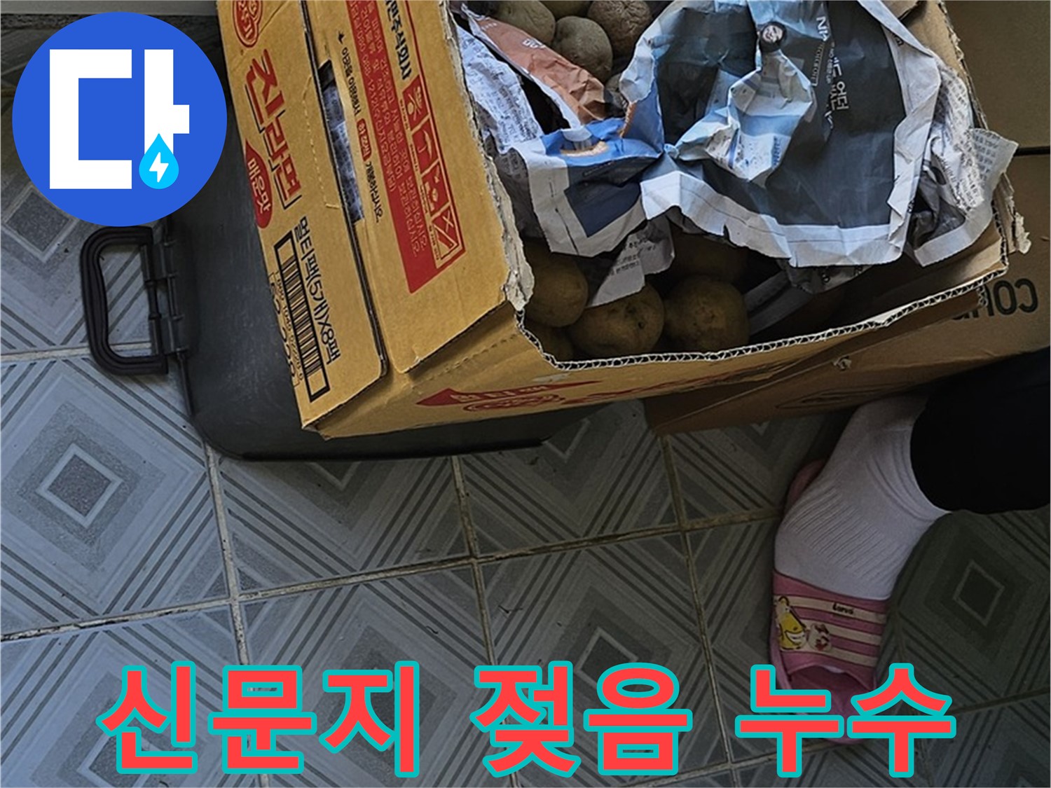 신월동 누수 현장, 감자 박스 위 신문지 - 젖어 있다면 누수를 의심해 볼 수 있습니다.