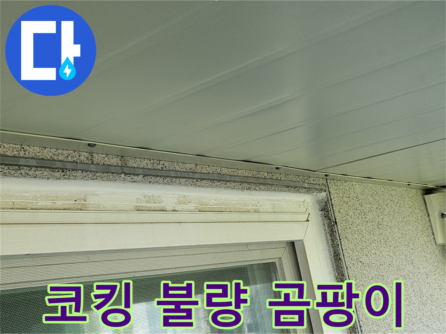 신월동 아파트 - 창틀 코킹 불량으로 인해 곰팡이가 발생한 상태를 보여줍니다.