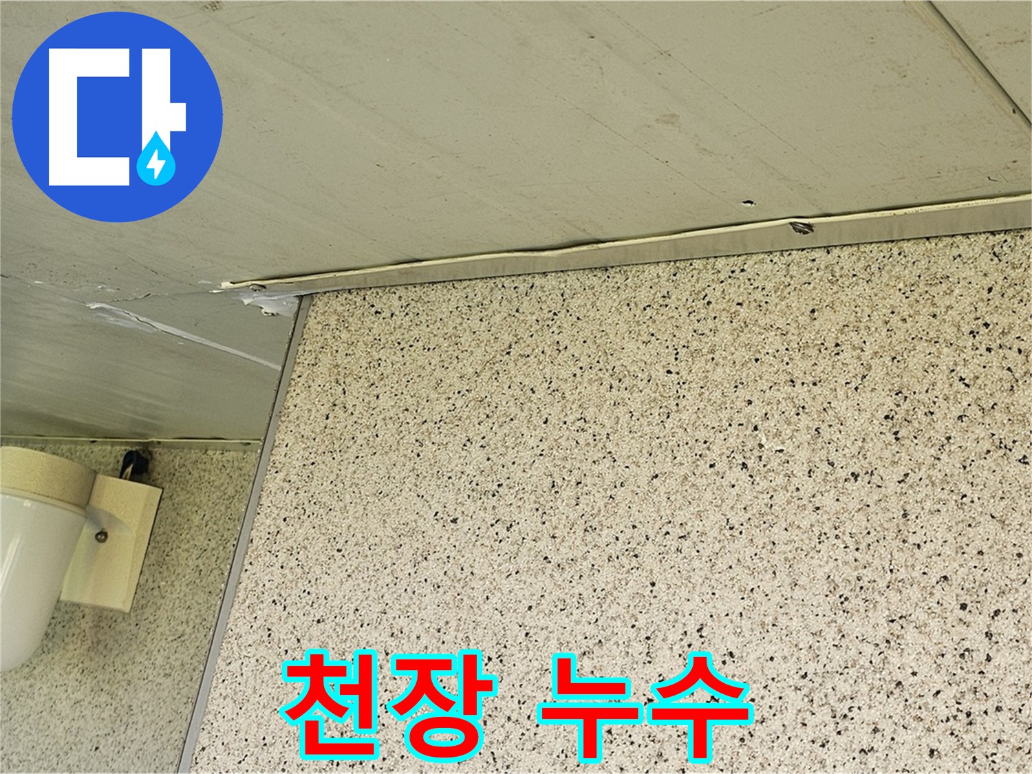 신월동 엘리시안 A동 천장 누수 - 양천구 누수탐지 전문 업체의 신속한 방문