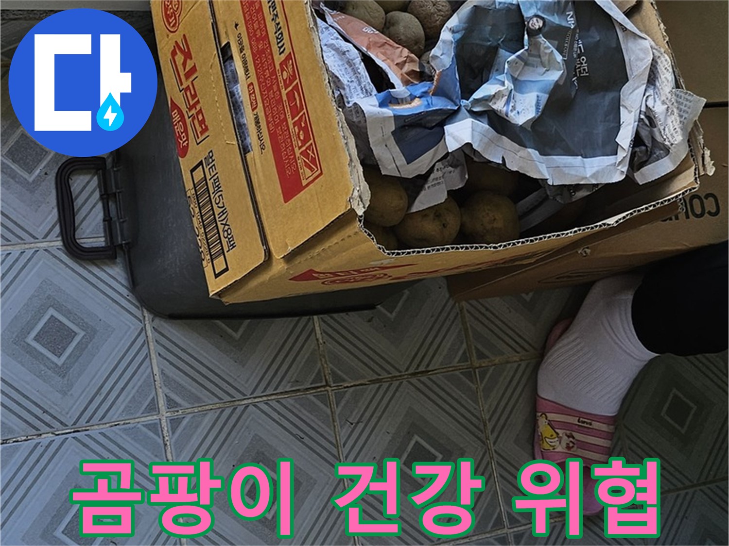 양천구 오목로 엘리시안 누수 현장 - 감자 박스 주변 곰팡이는 건강에 치명적일 수 있습니다 - 긴급 조치가 필요합니다.