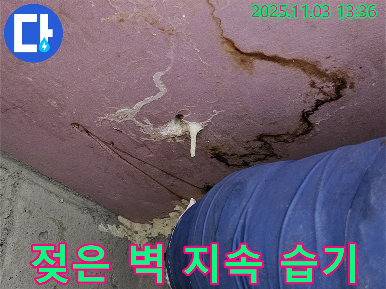 양천구에서 발생한 누수로 인한 젖은 벽과 지속적인 습기 - 완벽 차단 및 쾌적한 환경 유지
