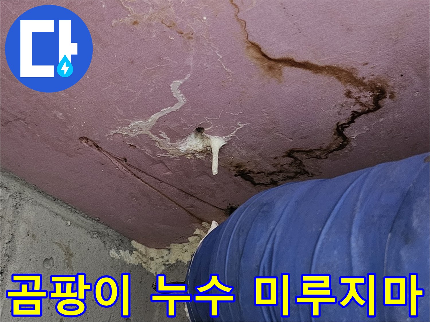 엘리시안 A동 곰팡이 - 누수 - 미루지 마세요