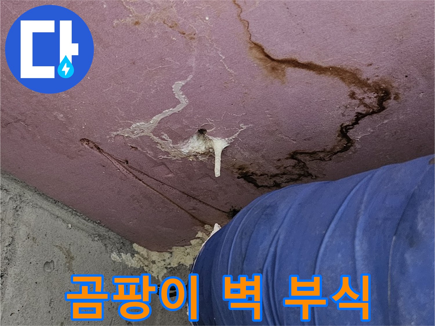 엘리시안 A동 곰팡이 - 벽 부식 동시 진행