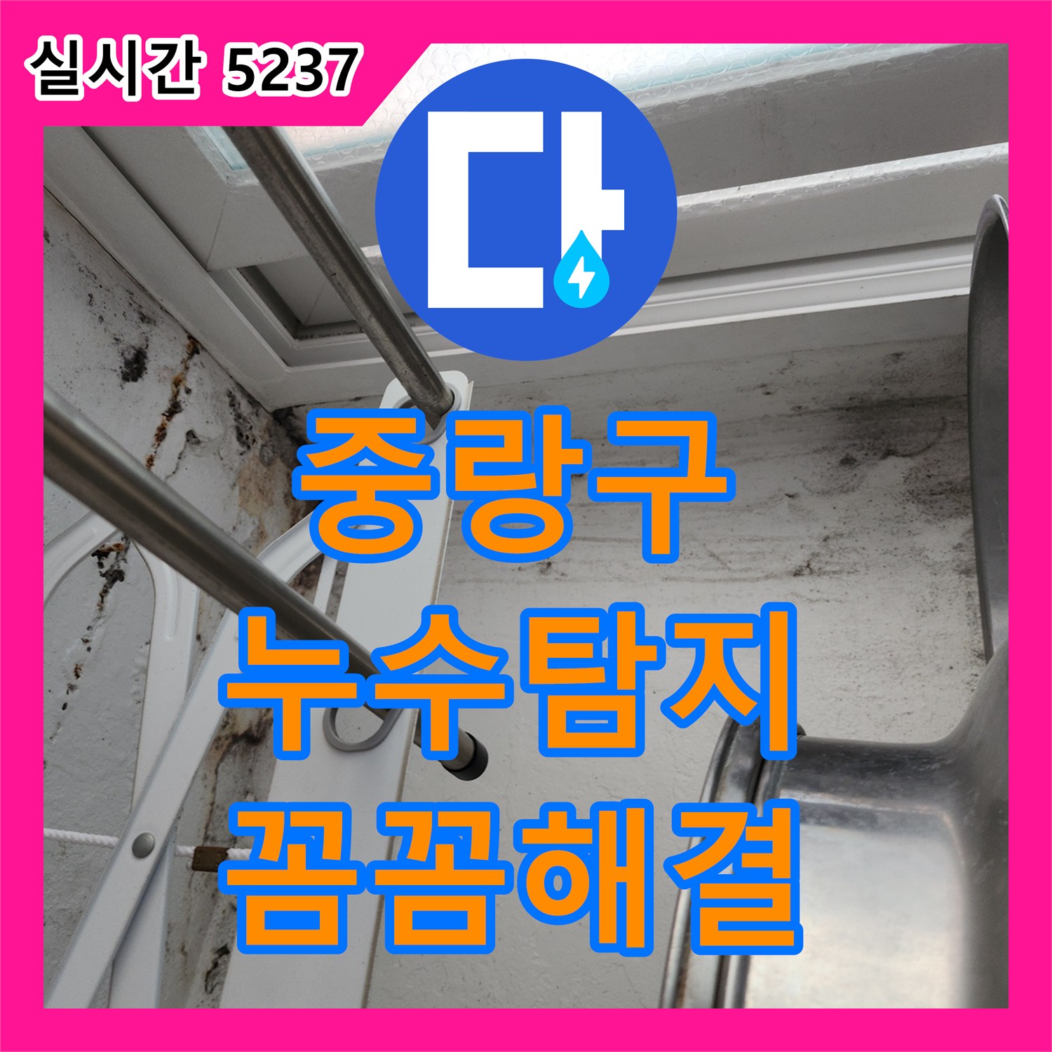 중랑구, 누수탐지! 곰팡이 누수 원인 찾고 꼼꼼하게 해결