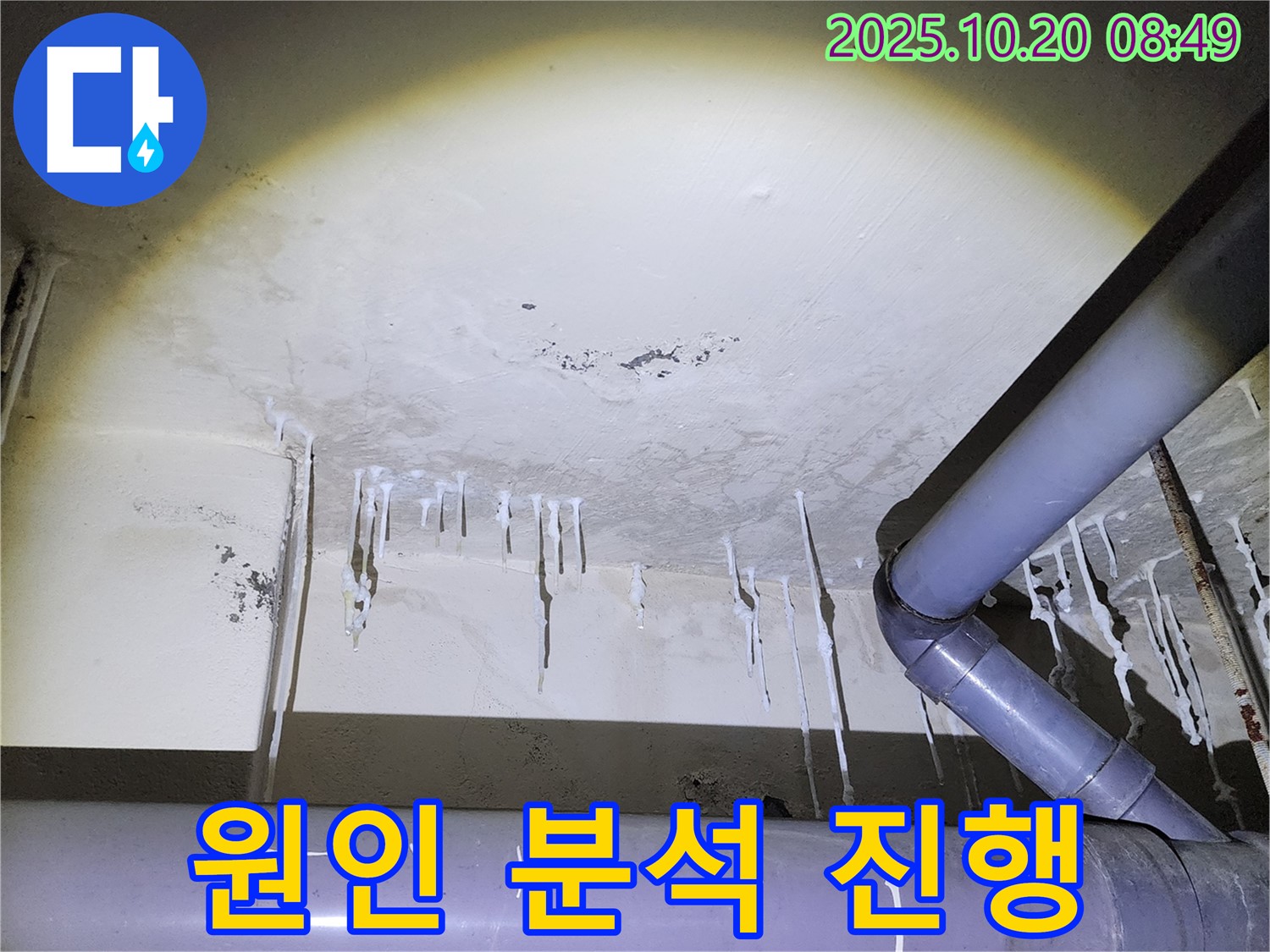 양주시 장흥면 석현리 누수 현장 - 천장 석회수 누수 원인 정밀 분석 진행 중입니다