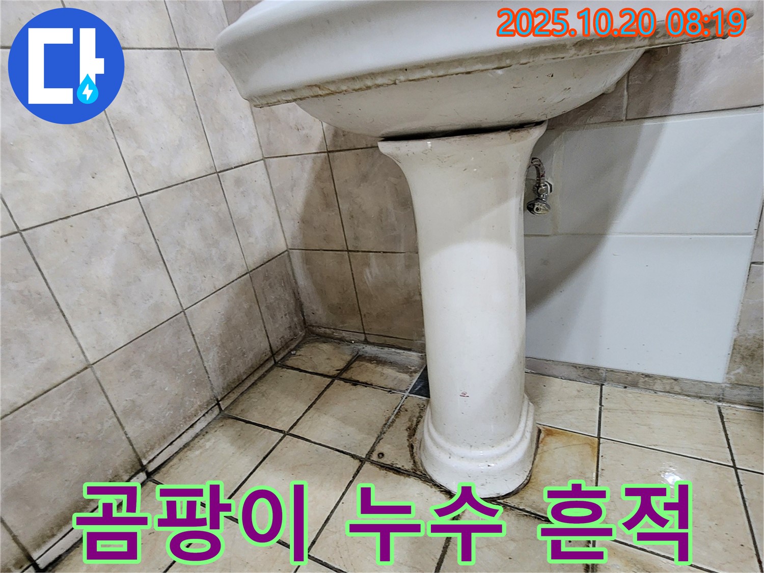 양주시 장흥면 석현리 세면대 주변 - 곰팡이와 누수 흔적이 보이는 세면대 주변의 모습입니다.