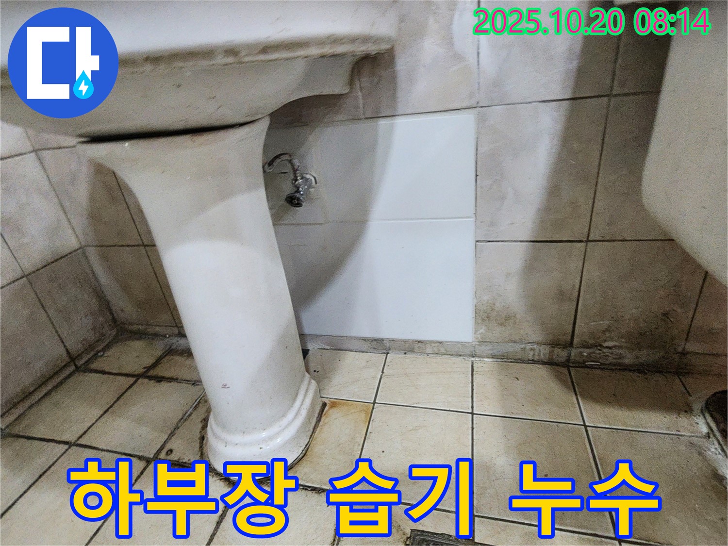 양주시 장흥면 석현리 세면대 하부장 안쪽 습기 - 숨겨진 누수의 흔적, 하부장 습기를 꼼꼼하게 점검합니다.