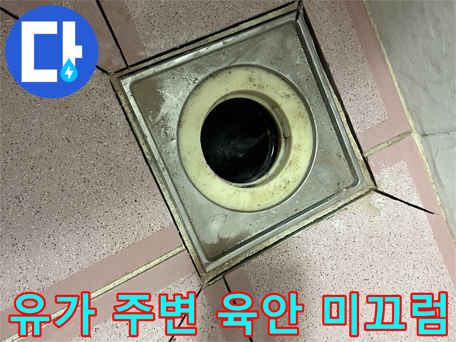 금천구 독산동 형제빌 유가 주변 육안 및 미끄럼 점검 - 종합 누수 진단