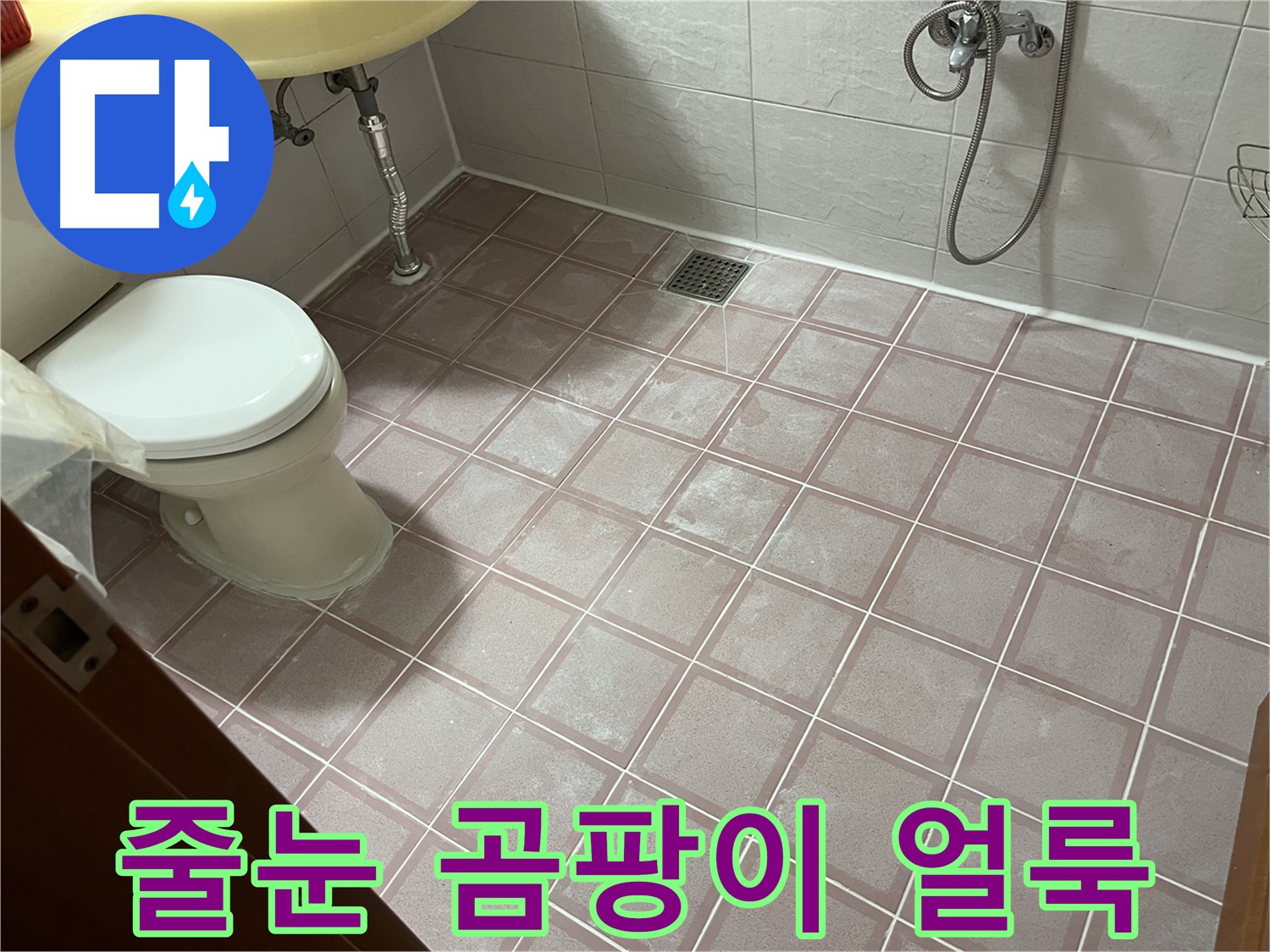 금천구 독산동 형제빌 - 줄눈 곰팡이 얼룩, 곰팡이 - 오염