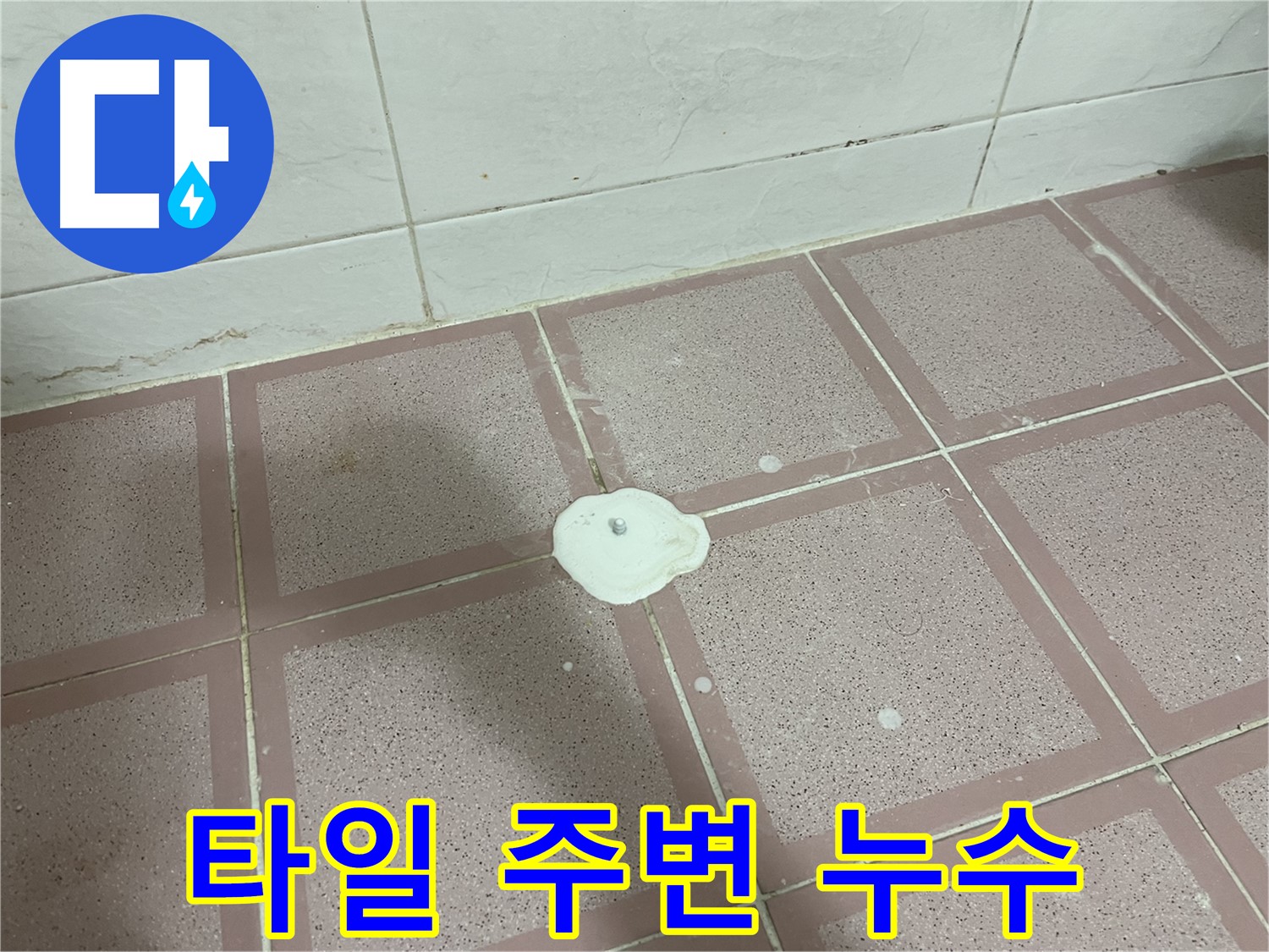 금천구 형제맨션빌 욕실 누수 - 타일 주변 물 고임 현상