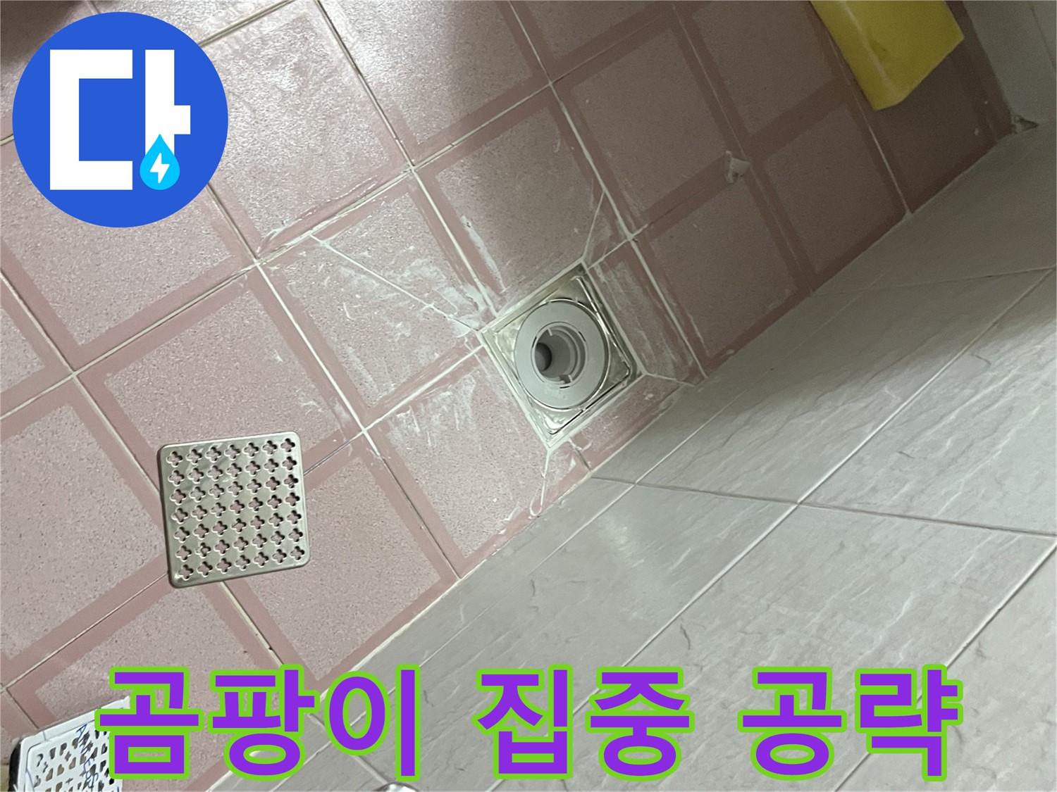독산동 형제맨션빌 욕실 배수구 누수 - 곰팡이 핀 곳 집중 공략!