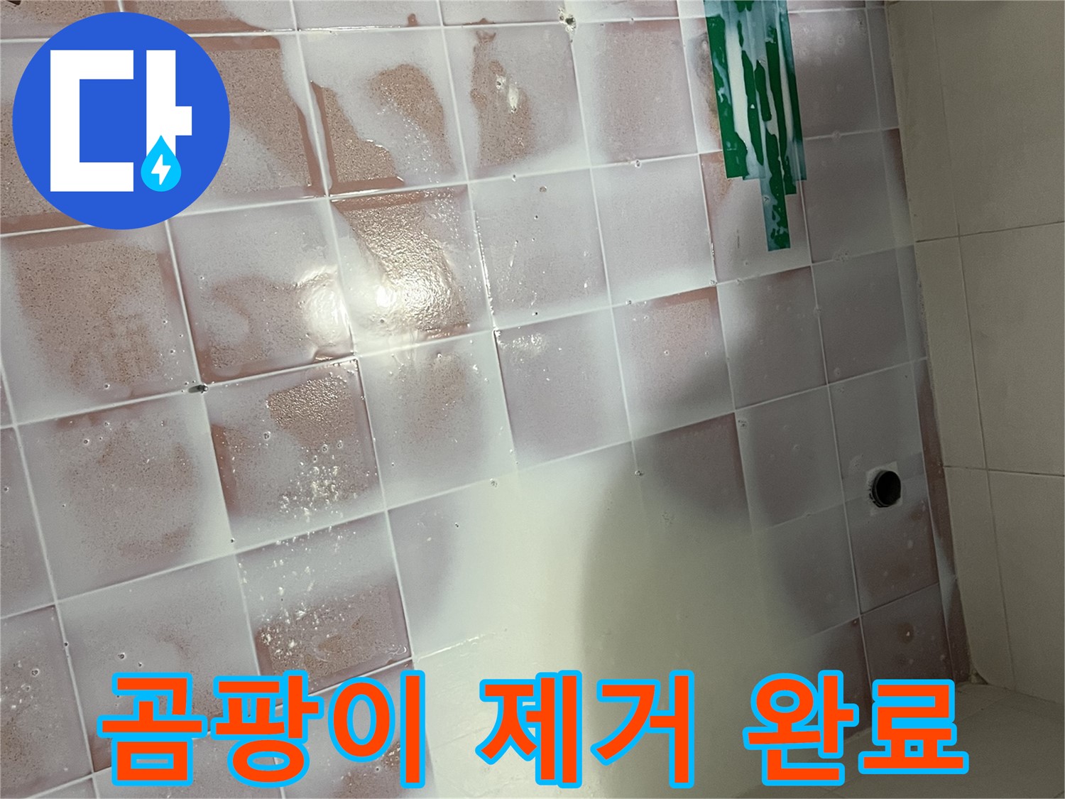 세정액 시공 - 곰팡이 제거 완료!