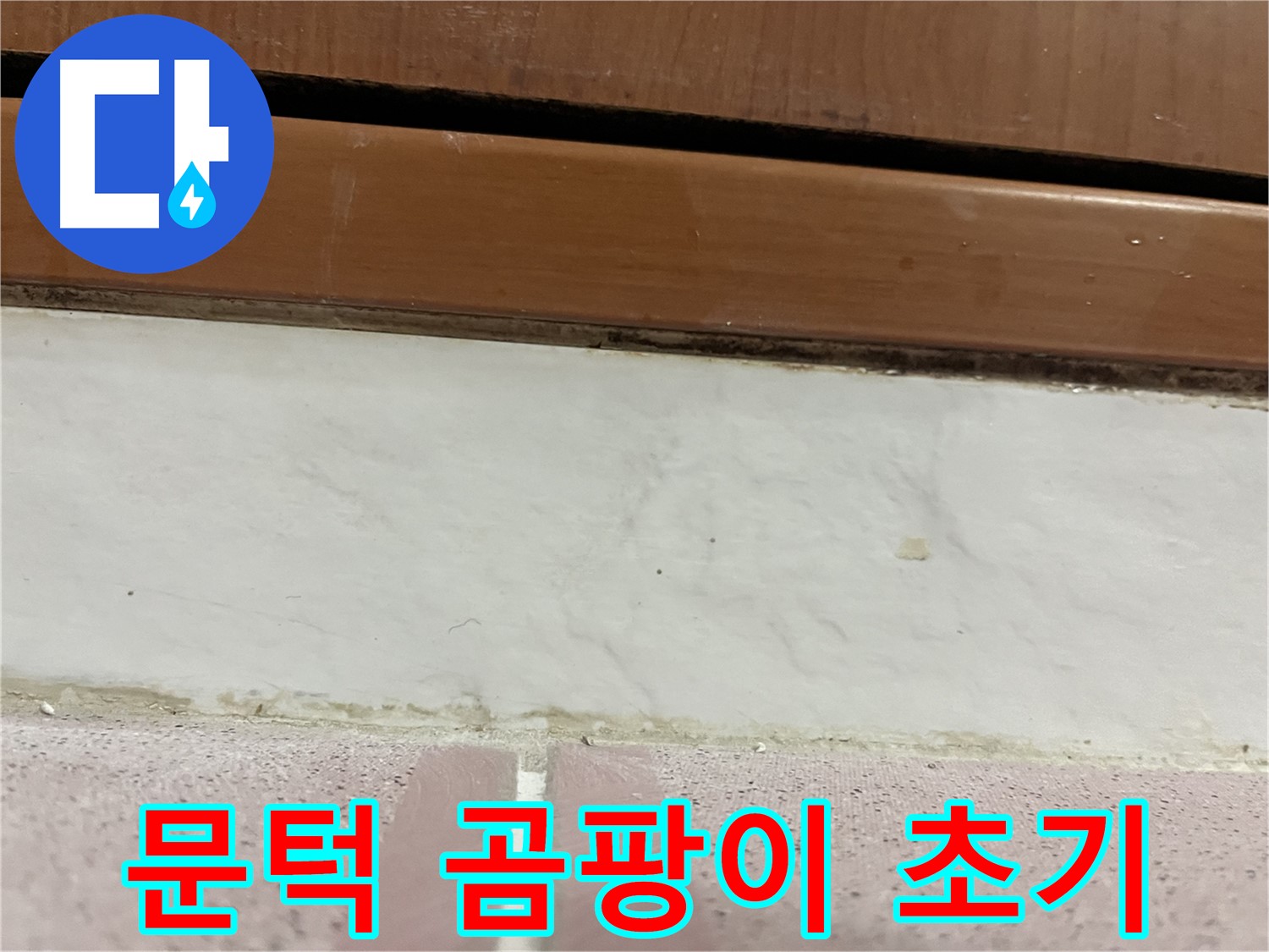 형제맨션빌 누수 - 문턱 아래 타일 틈새 곰팡이와 백시멘트 손상 초기