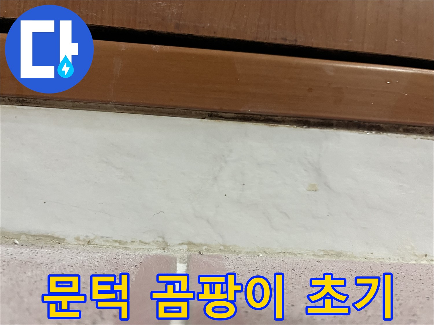형제맨션빌 누수 - 문턱 아래 타일 틈새 곰팡이와 백시멘트 손상 초기