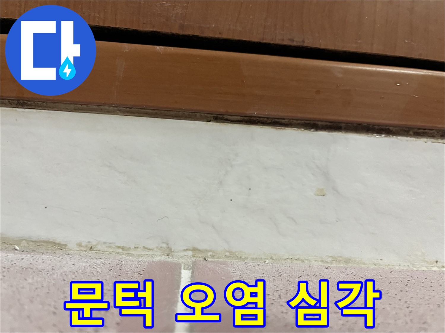 형제맨션빌 누수 - 문턱 아래 타일 틈새 곰팡이와 백시멘트 오염 심각