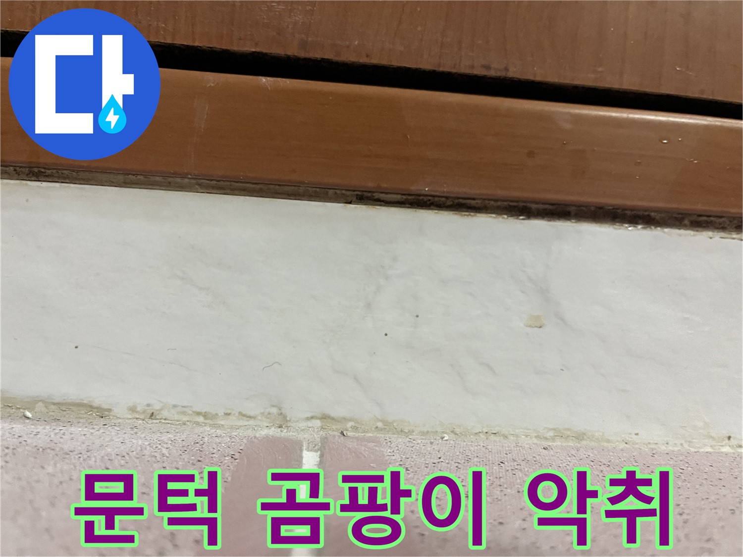 형제맨션빌 누수 - 문턱 아래 타일 틈새 곰팡이와 악취