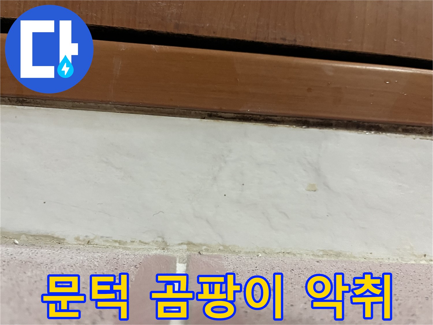 형제맨션빌 누수 - 문턱 아래 타일 틈새 곰팡이와 악취