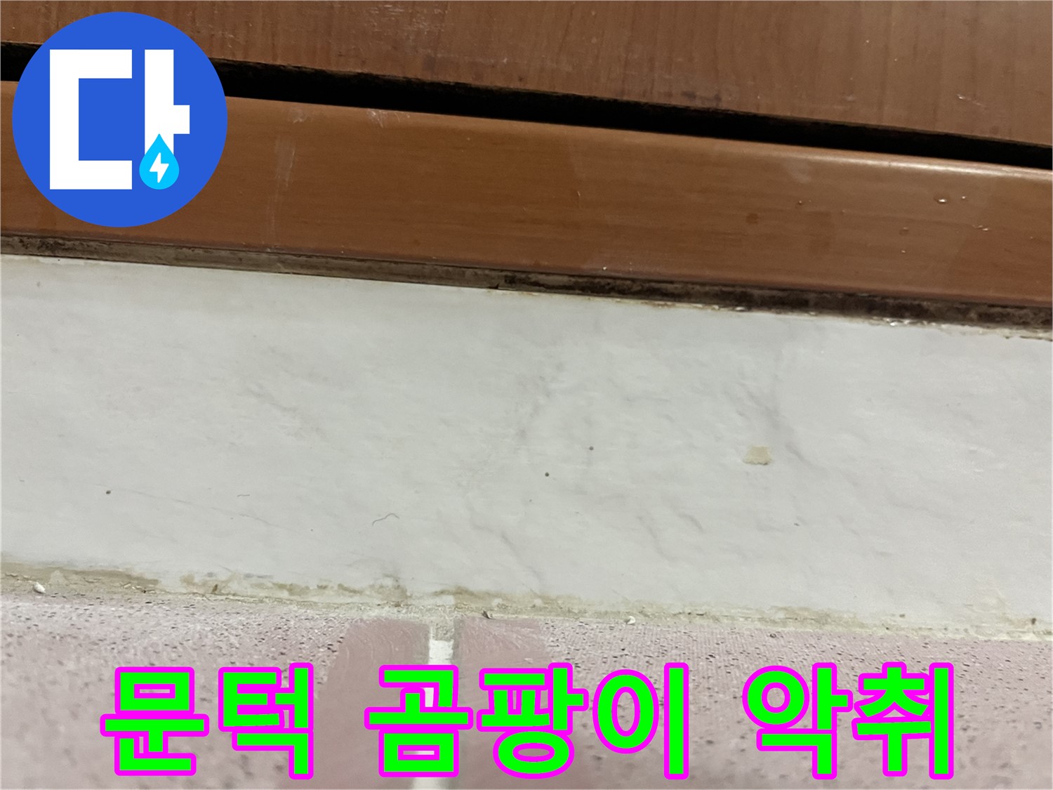 형제맨션빌 누수 - 문턱 아래 타일 틈새 곰팡이와 악취