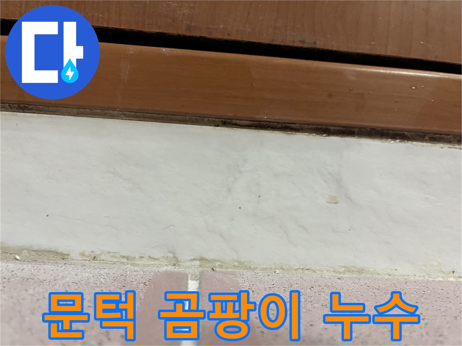 형제맨션빌 누수 - 문턱 주변 타일 틈새 검은 곰팡이