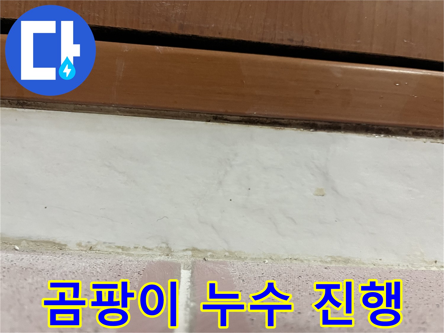 형제맨션빌 누수 - 타일 틈새 곰팡이와 누수