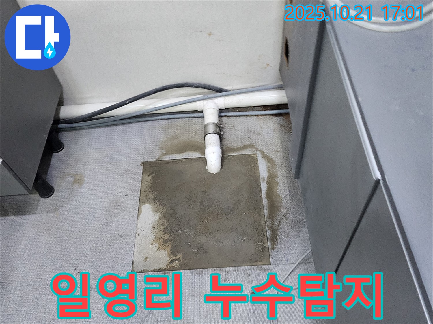 양주시 장흥면 일영리에서 발생한 누수탐지 현장 - 누수 원인 파악 및 해결 과정을 담은 사진입니다.