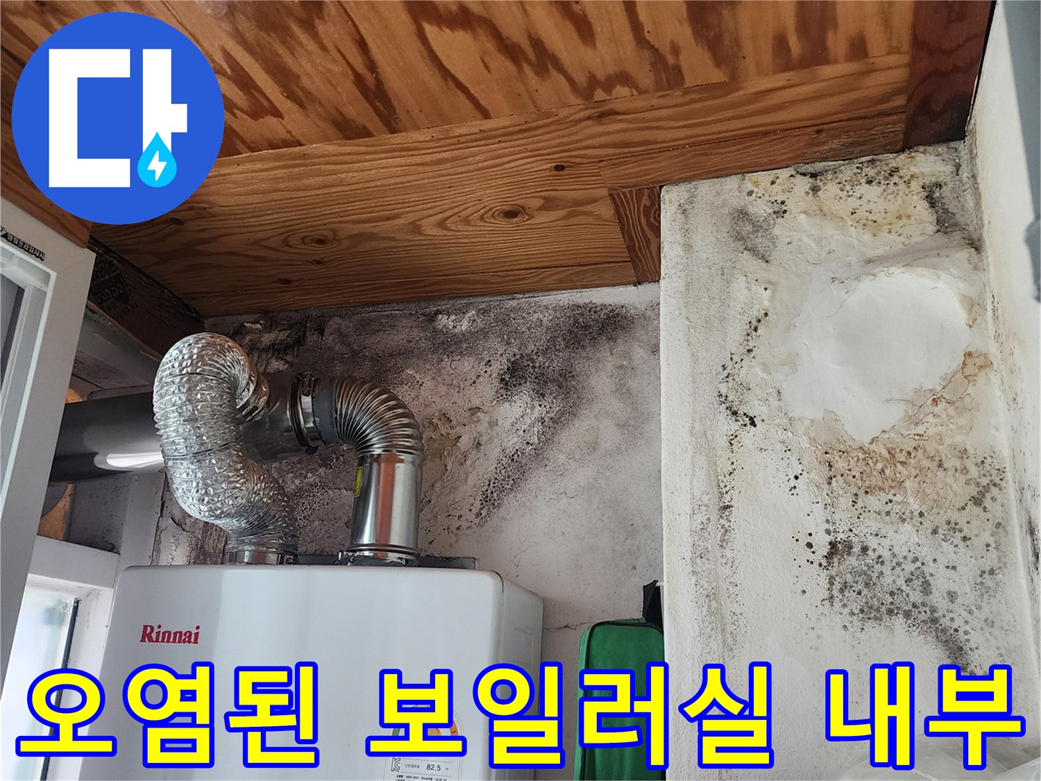 곰팡이와 습기로 인해 손상된 보일러실 벽면과 천장