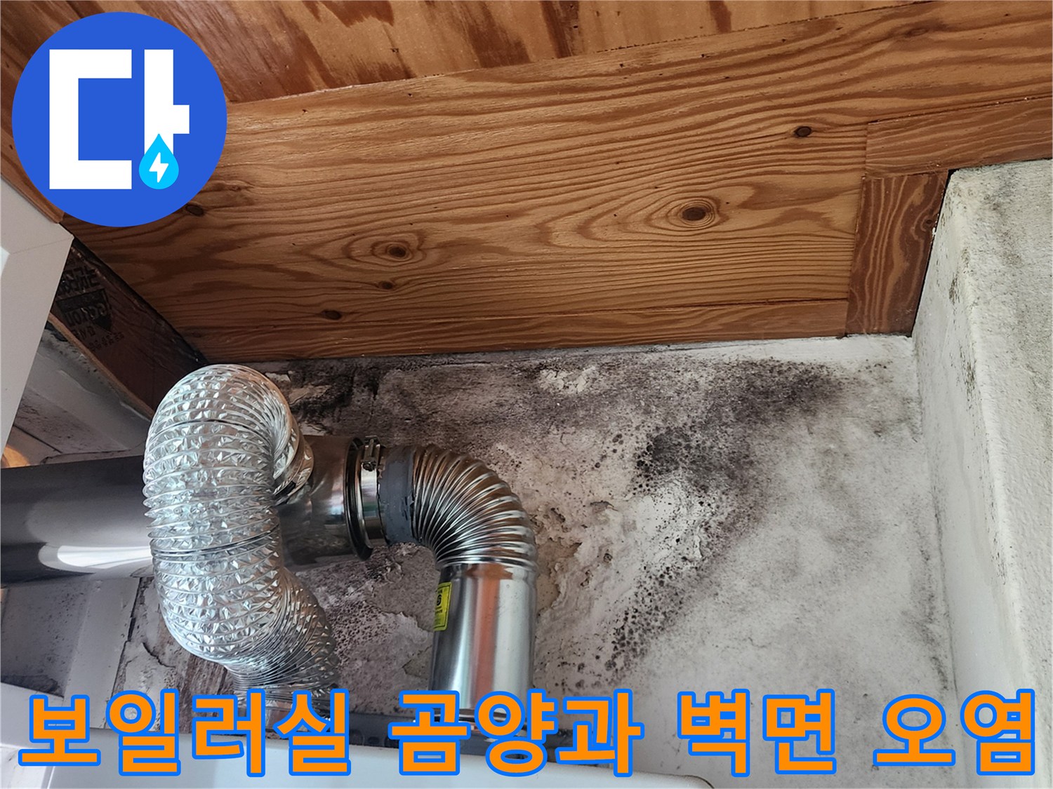보일러 연통 주변의 검은 곰팡이와 습기로 변색된 천장 목재