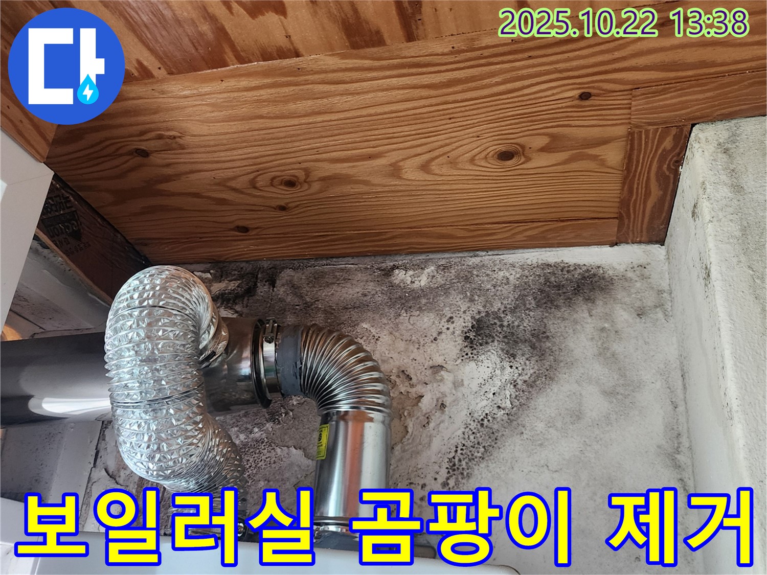 보일러실 벽면의 검은 곰팡이 - 누수로 인해 발생한 곰팡이 문제를 보여줍니다 - 곰팡이 제거와 누수 해결이 시급합니다.
