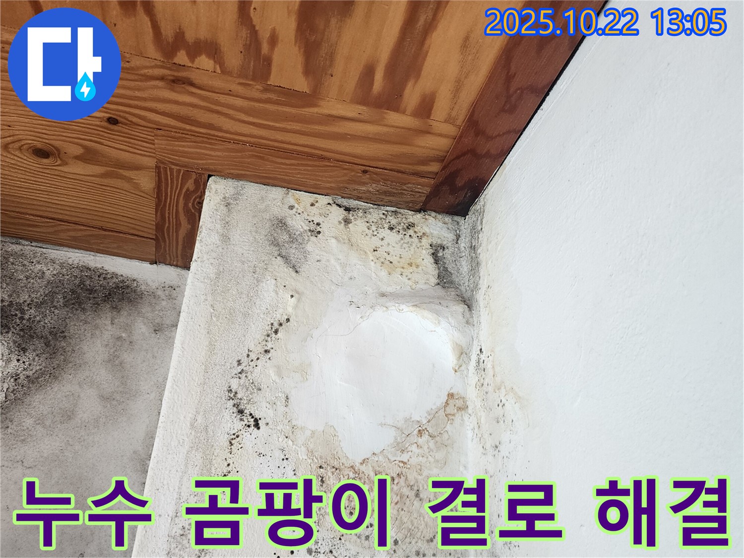 양주 누수탐지 전문 - 곰팡이, 결로, 누수 문제 완벽하게 해결