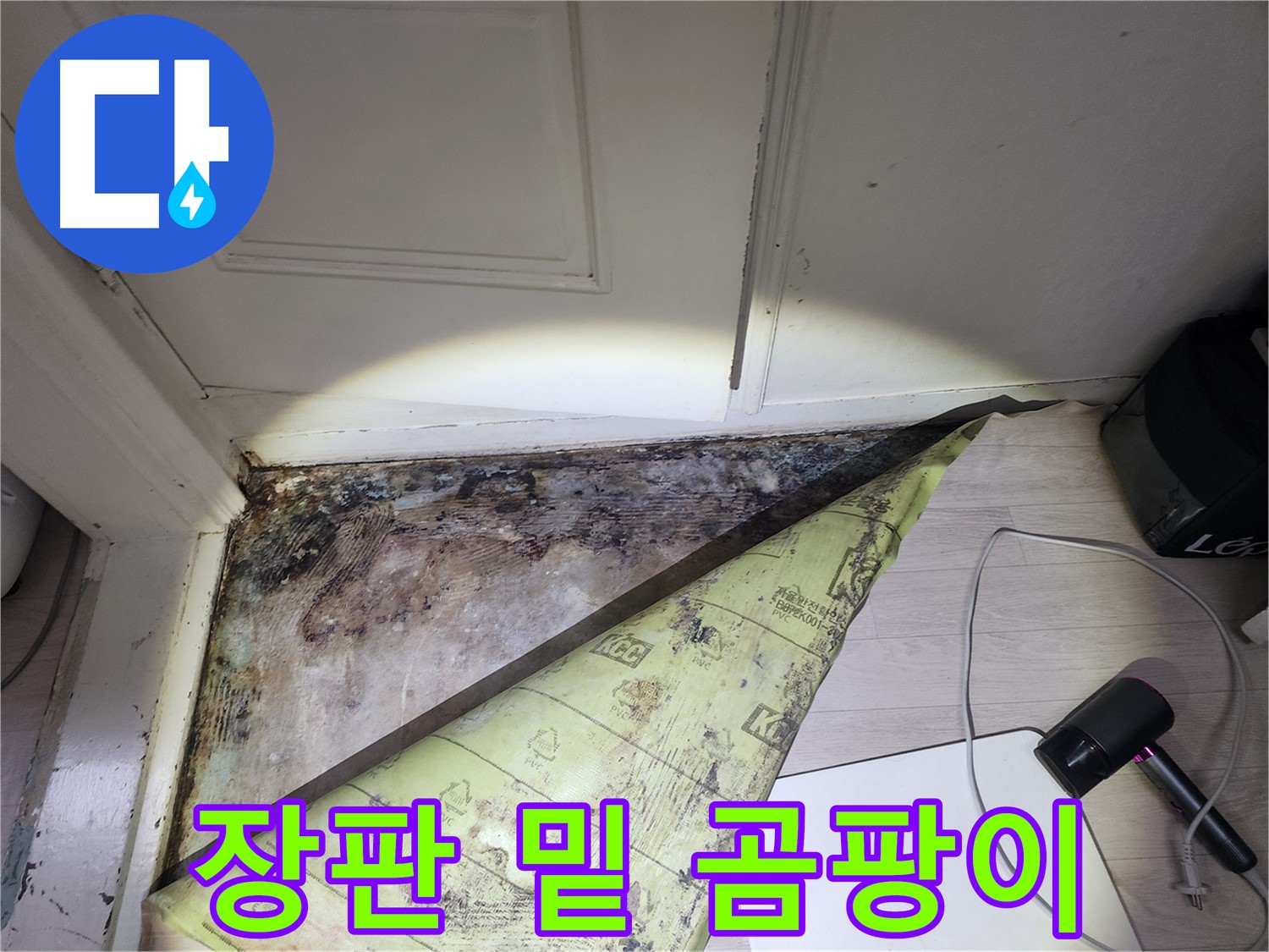 서초구 양재동 현대빌라 누수 - 장판 밑 곰팡이의 심각한 번식