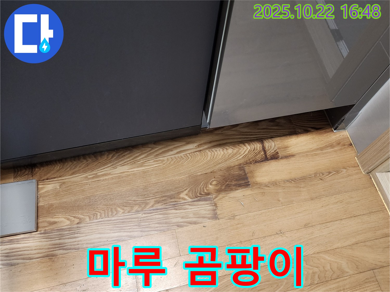 싱크대 밑 마루 곰팡이 - 습기 - 곰팡이 번식