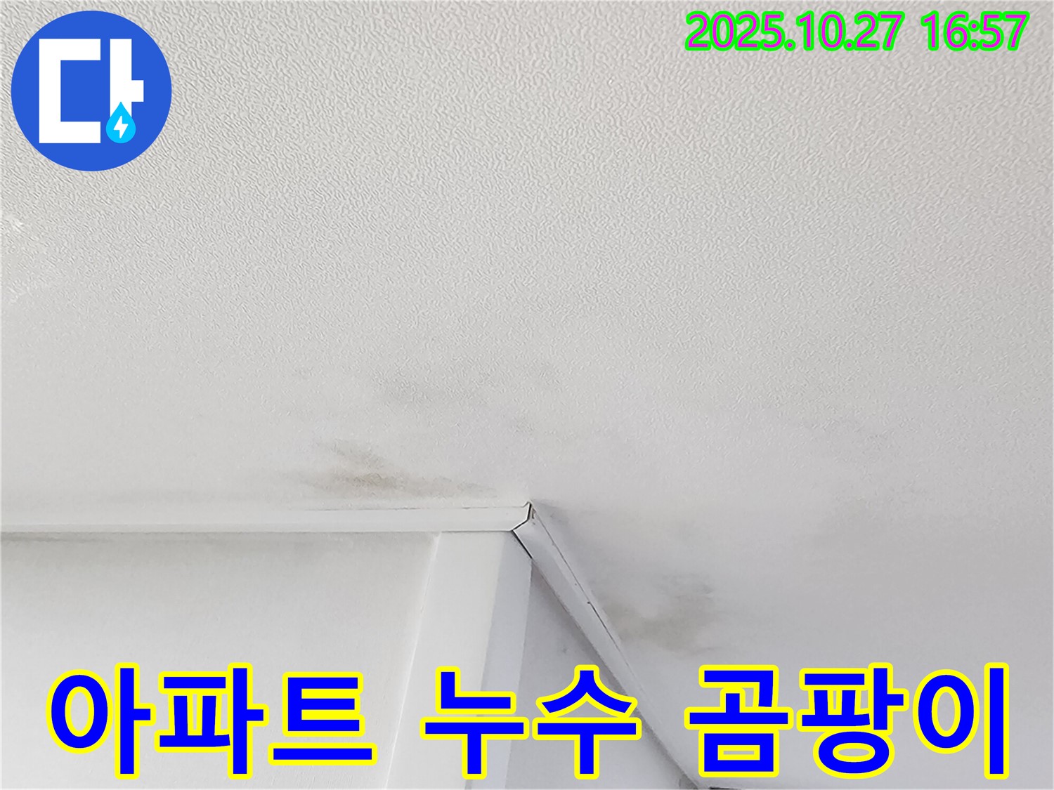 동작구 만양로 아파트 천장 누수 - 곰팡이 문제 긴급 해결 및 누수 재발 방지