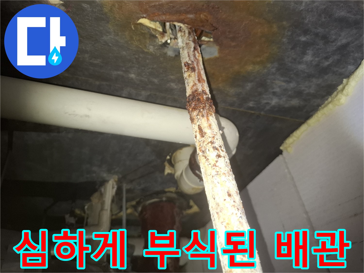 수원 신풍동 누수 현장에서 심하게 부식된 배관이 누수의 원인임을 보여줍니다 - 부식된 배관은 즉시 교체가 필요합니다.