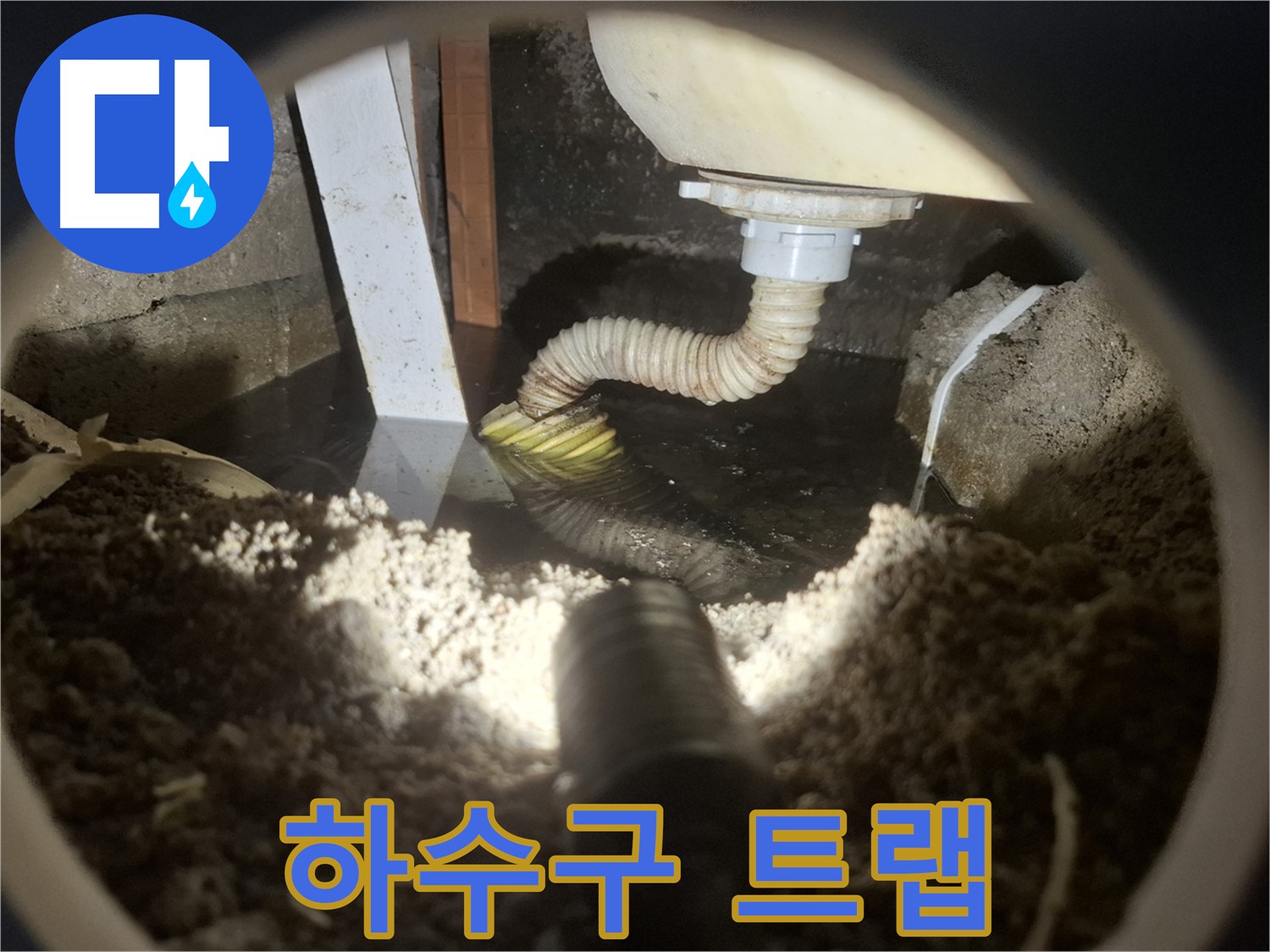 수원 팔달구 누수 - 하수구 트랩 고장으로 인한 악취 역류 및 해충 유입