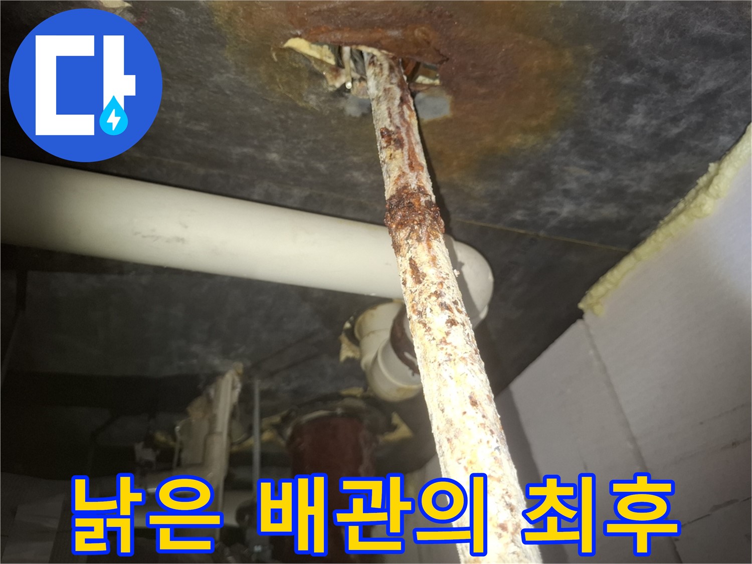 수원 팔달구 신풍동 누수 현장에서 낡은 배관의 최후를 보여줍니다 - 새 배관으로 교체하여 누수 문제를 해결했습니다.