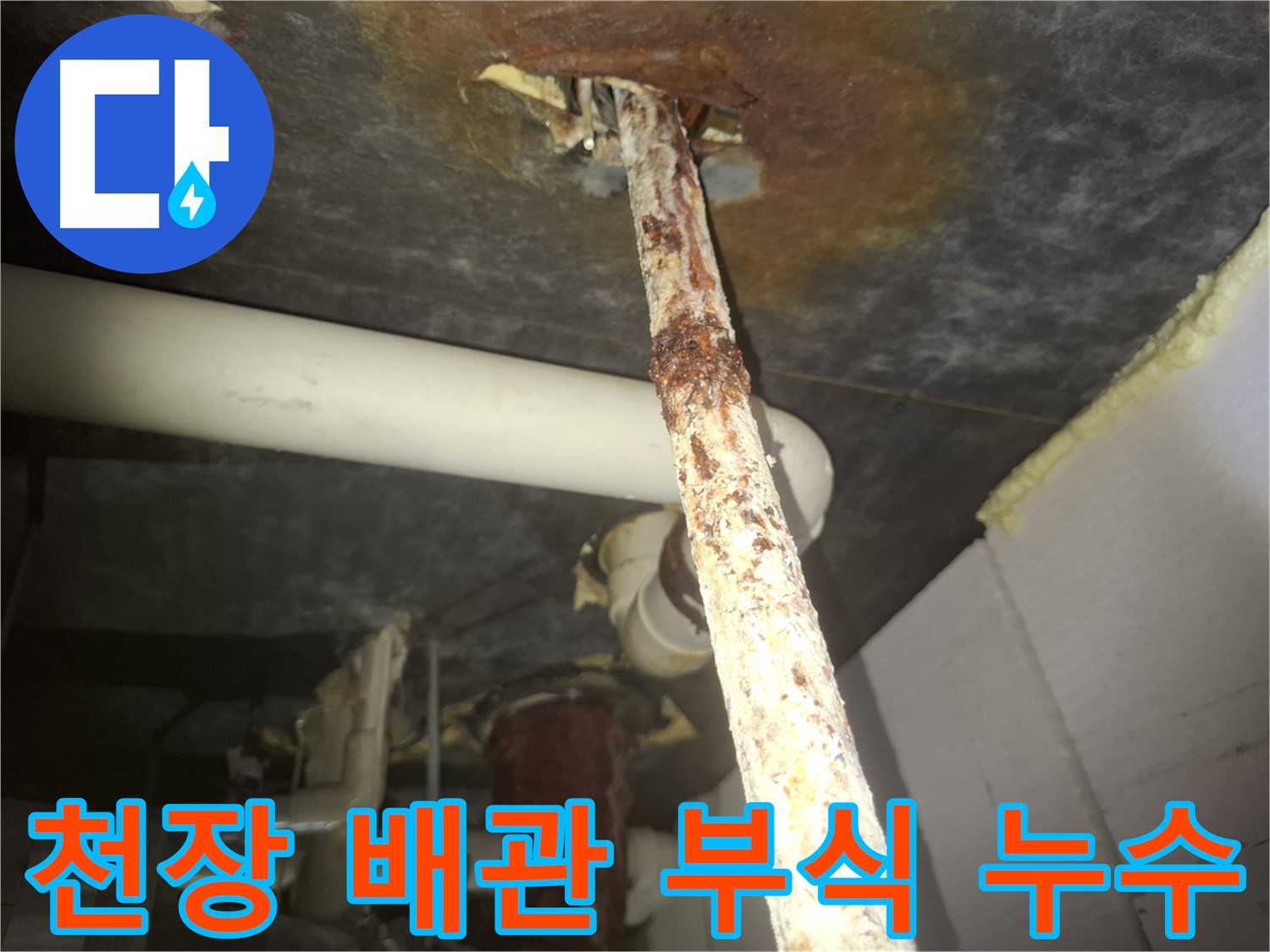 수원 팔달구 신풍동 누수 현장에서 천장 배관 부식으로 인한 누수를 진단하고 있습니다 - 부식된 배관은 누수의 주요 원인입니다.