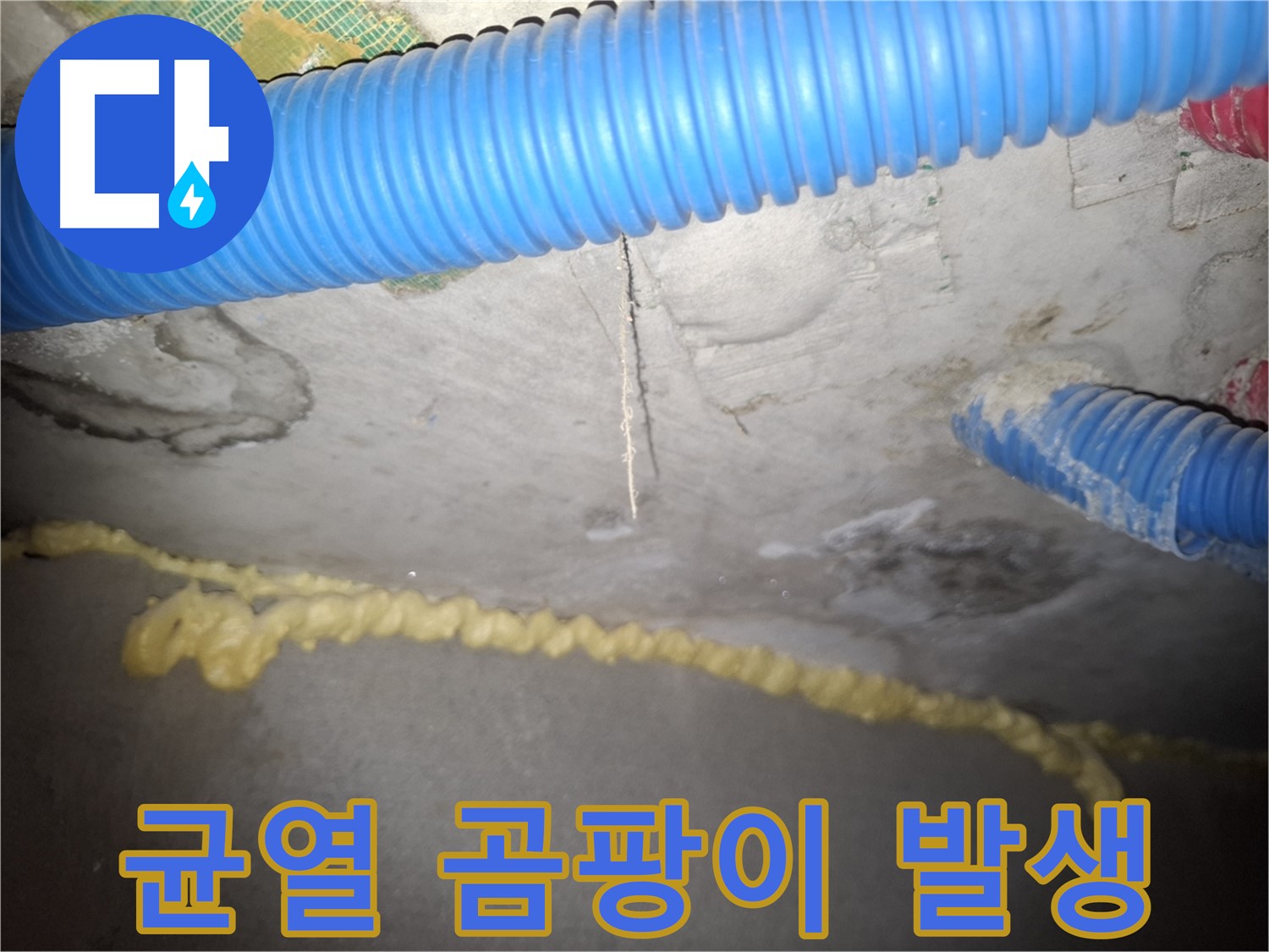 천장 균열 - 누수로 인한 곰팡이 발생 - 신풍동 누수