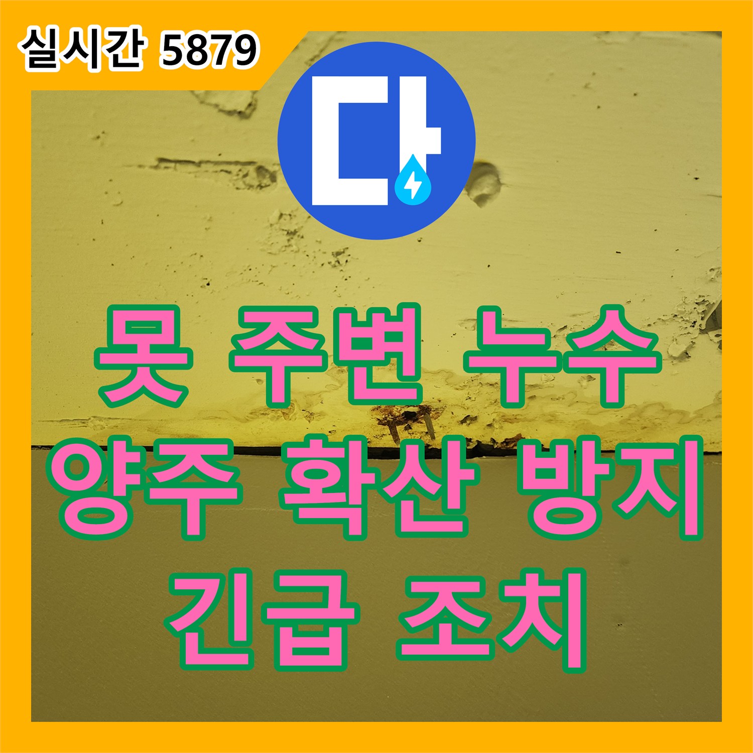 누수전문업체, 천장 못 주변 누수 확산 방지를 위한 신속한 점검과 긴급 조치, 양주시