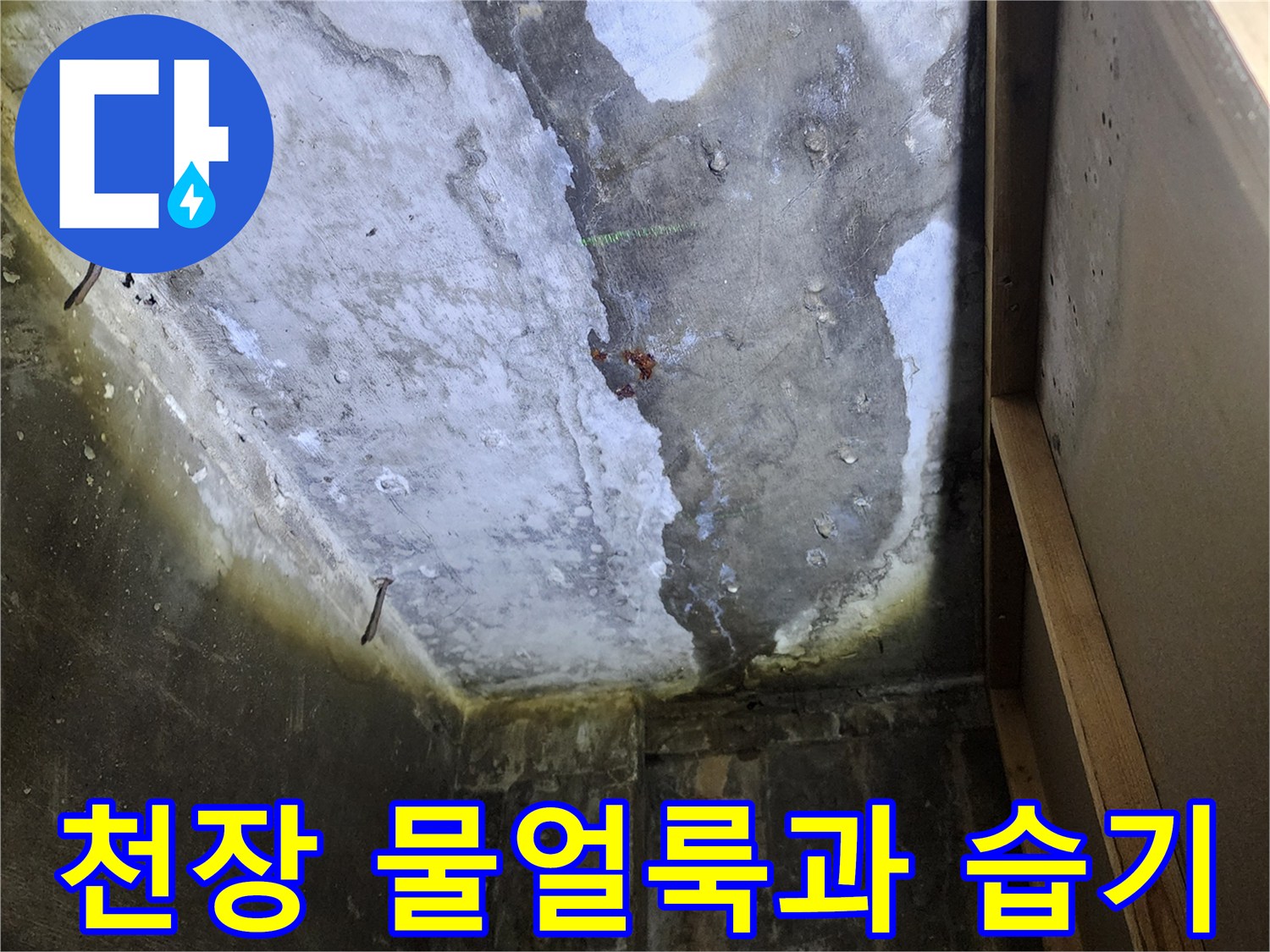 양주 상가 건물 - 천장 슬래브의 심한 물얼룩과 습기 상태
