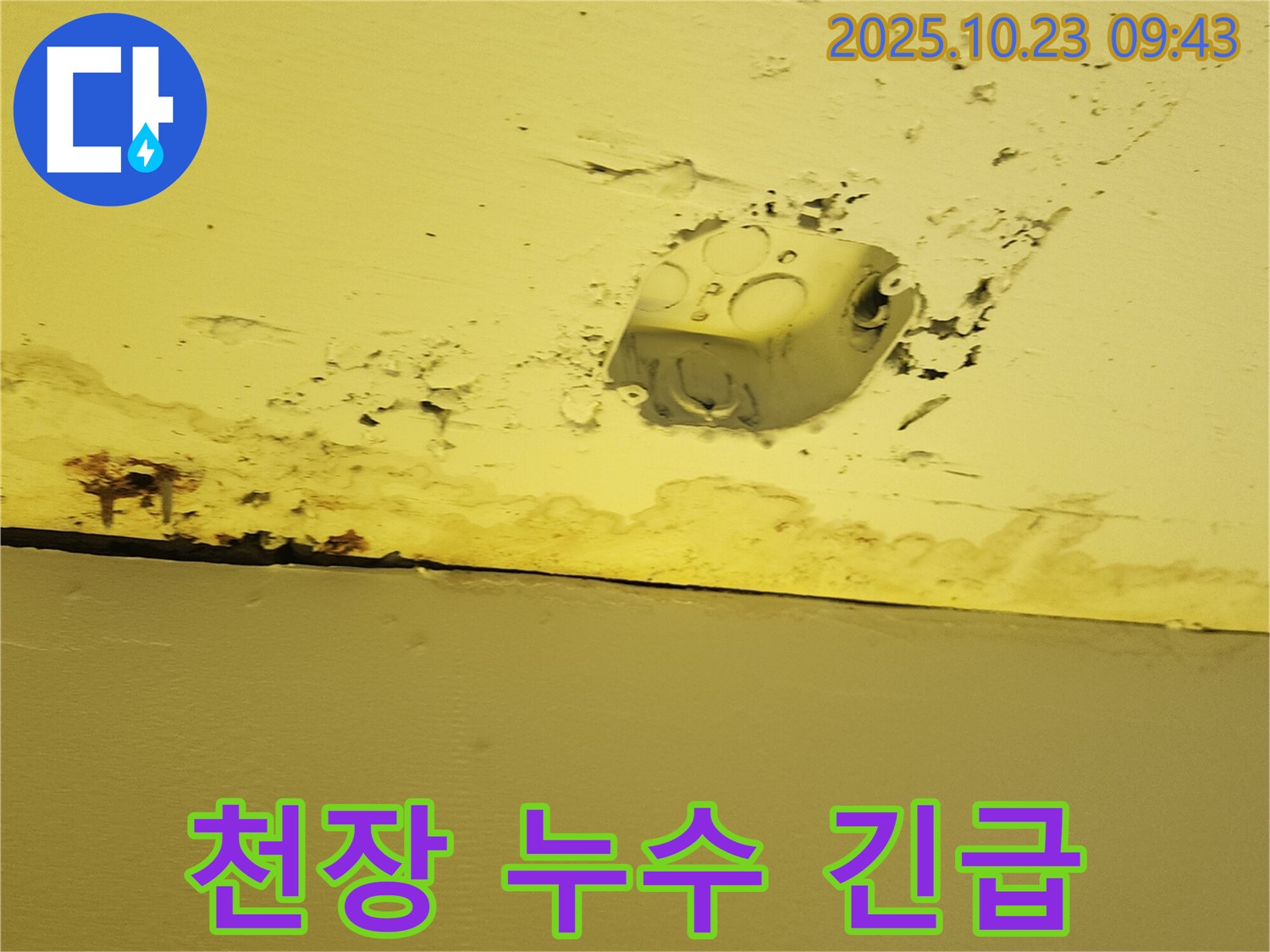 양주시 도하리 천장 콘센트 주변 누수 - 긴급 누수 해결 현장 사진입니다.