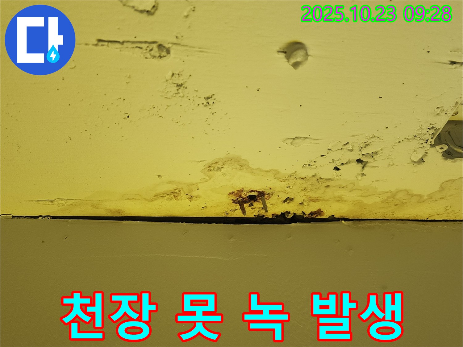 양주시 은현면 도하리 천장 못 주변 녹 발생 - 누수 초기 증상일 수 있으니 점검이 필요합니다.