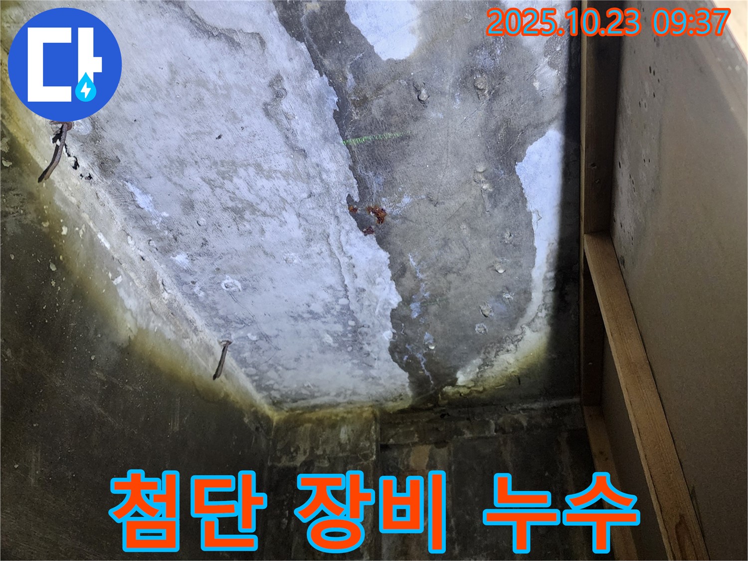 최첨단 장비를 이용한 누수 탐지 - 숨은 누수까지 찾아내는 모습입니다.