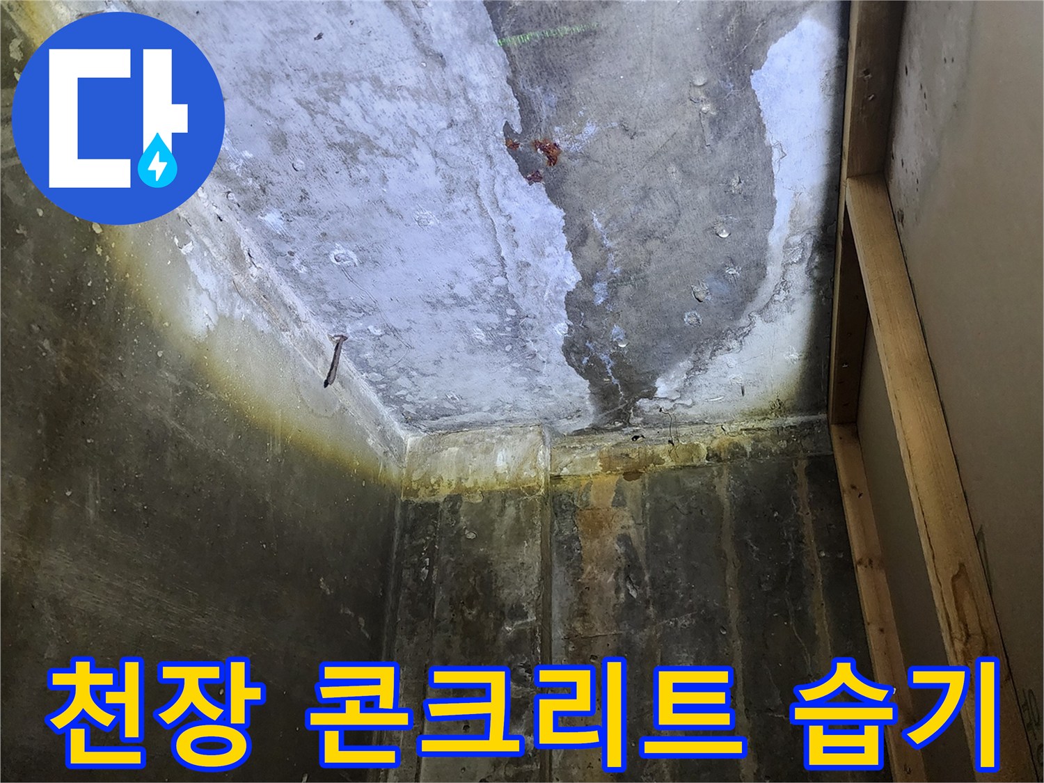 콘크리트 슬래브-습기로 인해 변색된 상가 천장 내부