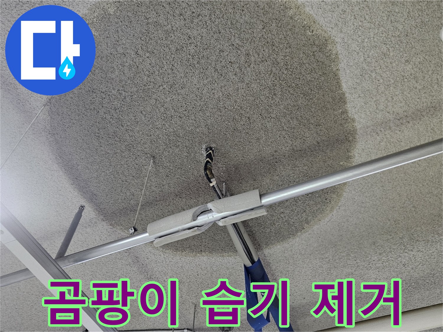 천장 텍스 누수 - 곰팡이 습기 제거